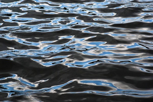 Water Detail, Upland Pond, Sussex County, NJ 09 07 (6925SA).jpg